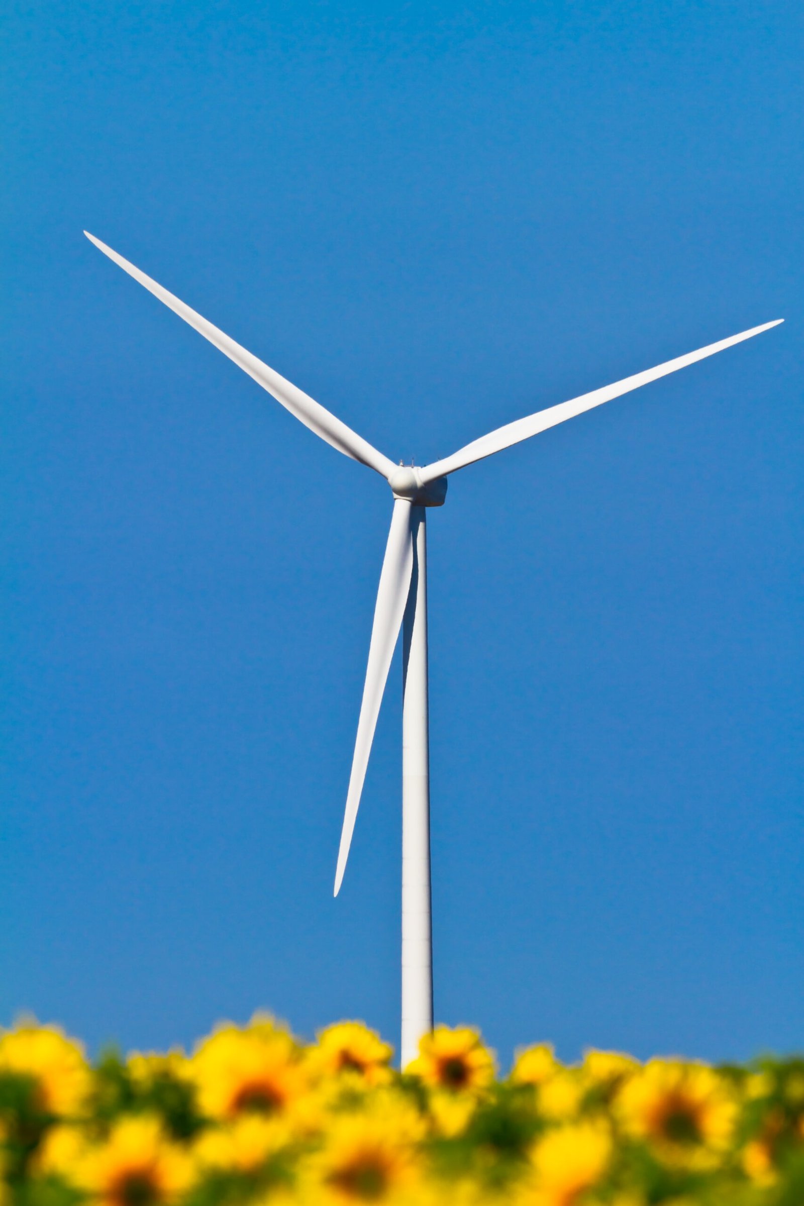 Wind Power Plant Construction